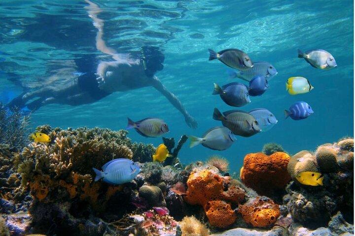Negril Glasbodenboot-Tour Schnorcheln und Booby Cay