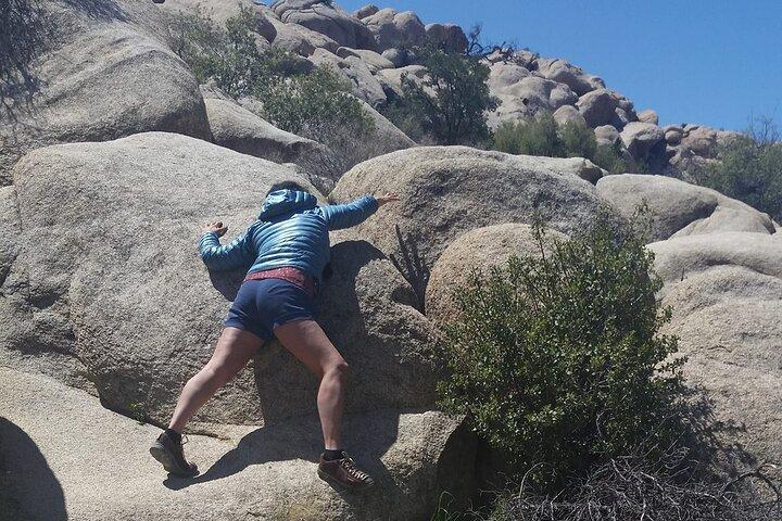 CreativeSoul ScavengerHunt(Hidden Valley,Joshua Tree)Remote Host