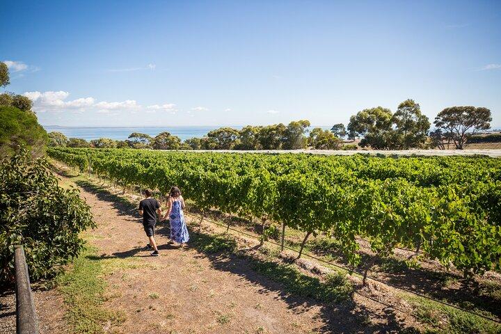 Hop On Hop Off Bellarine Bellarine Peninsula
