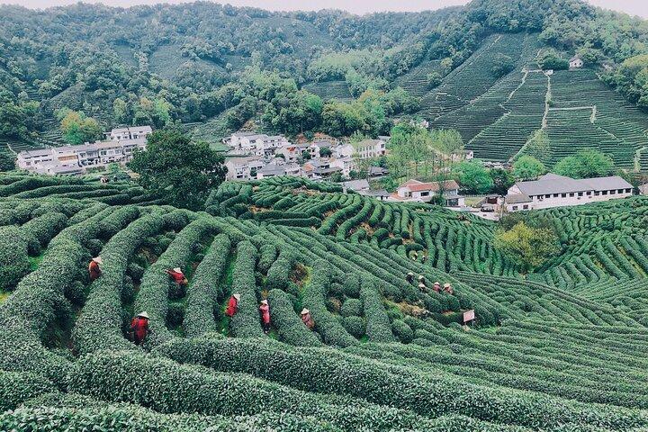 Wanderung nach Hangzhou Jiuxi und zum Teedorf ab Shanghai mit dem Zug