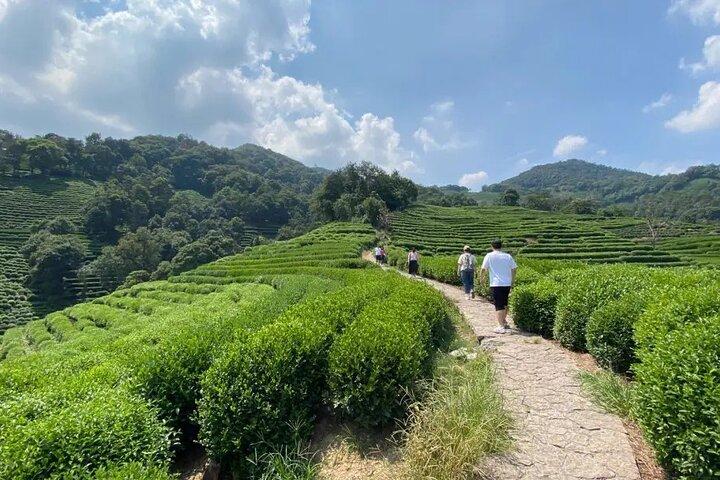 Wanderung nach Hangzhou Jiuxi und zum Teedorf ab Shanghai mit dem Zug