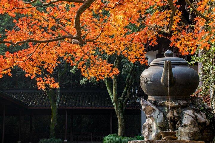 Wanderung nach Hangzhou Jiuxi und zum Teedorf ab Shanghai mit dem Zug