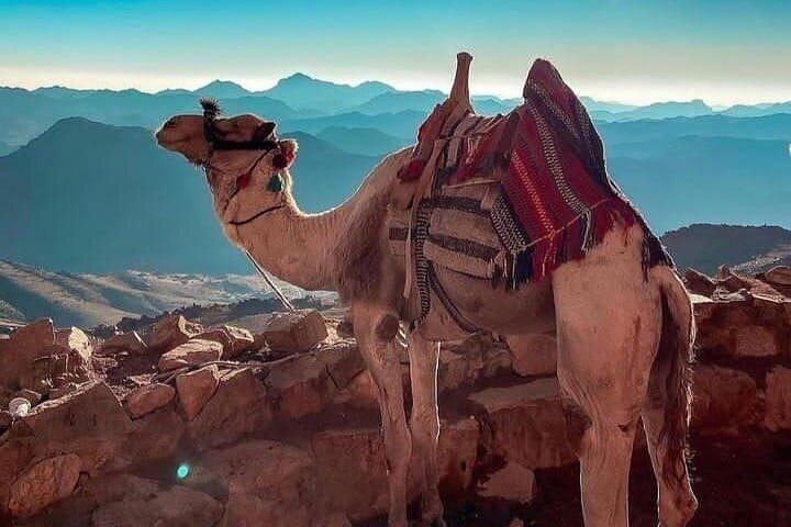 Mount Sinai & St Catherine Monastery från Sharm El Sheikh