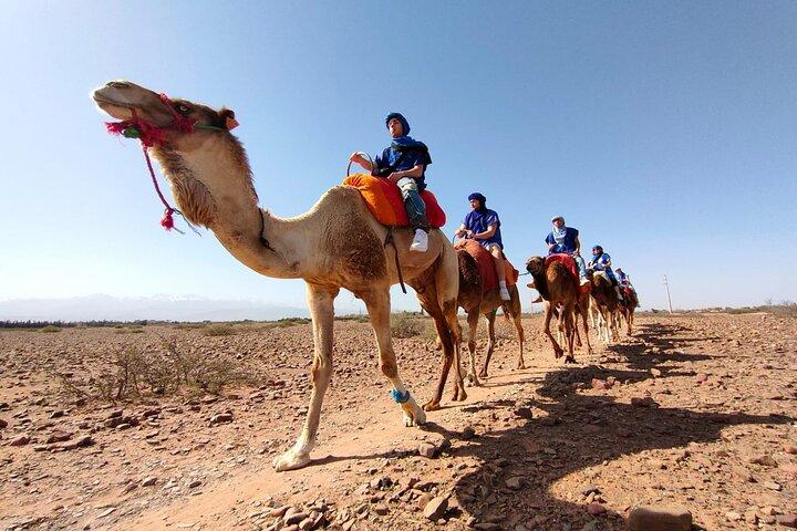 Full Day Tour in Atlas Mountains From Marrakech