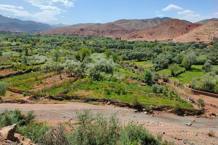 Full Day Tour in Atlas Mountains From Marrakech