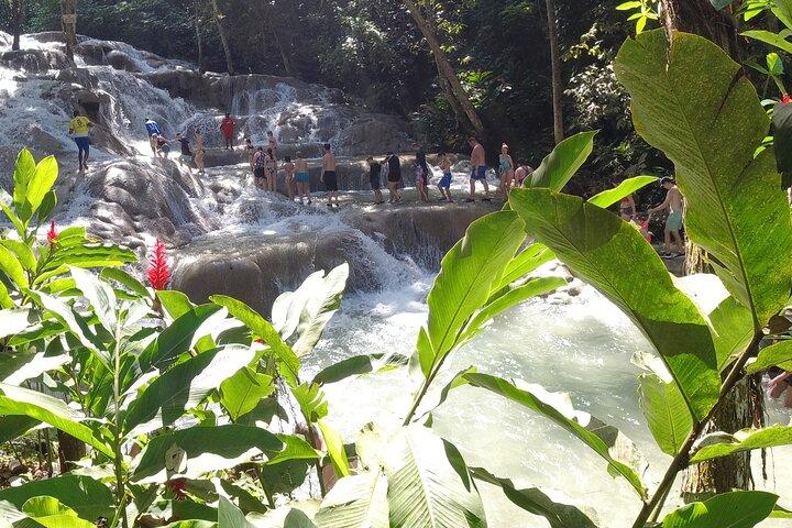 Rondleiding Falmouth naar Ocho Rios (Dunn's River Falls en winkelen)