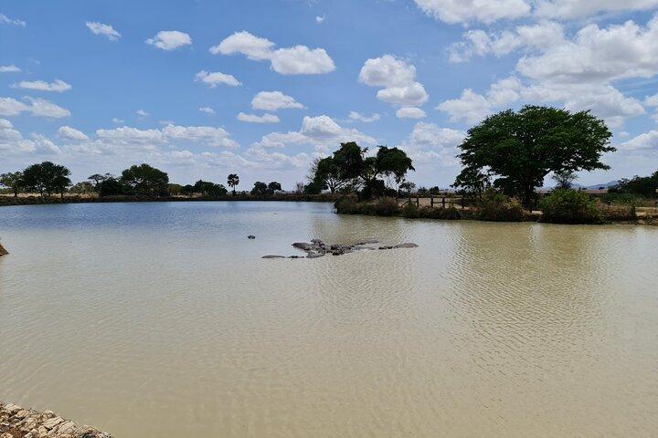 Nyerere Game Reserve: Safari in barca sul fiume Rufiji