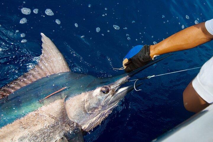 Pesca deportiva privada – Viking 46ft Yacht | South Pearl Islands