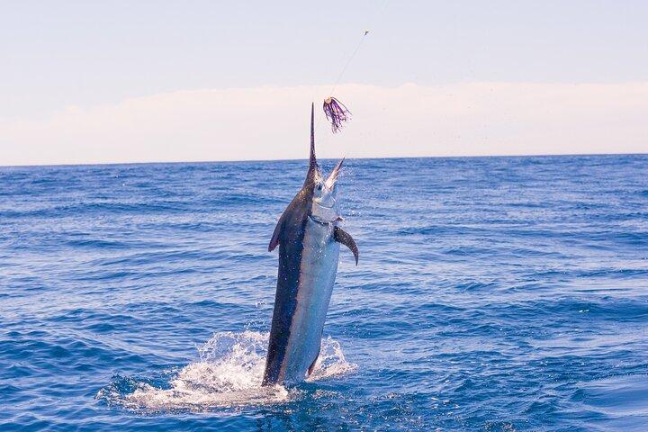 Pesca deportiva privada – Viking 46ft Yacht | South Pearl Islands
