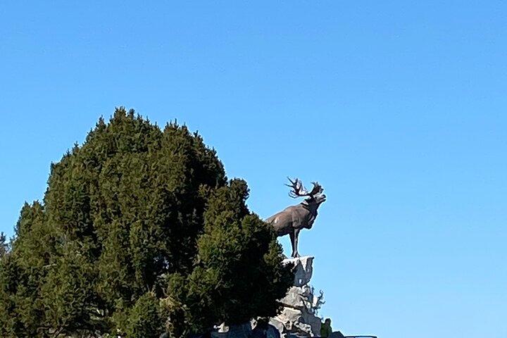 Tour privato di mezza giornata dei campi di battaglia dell'offensiva della Somme