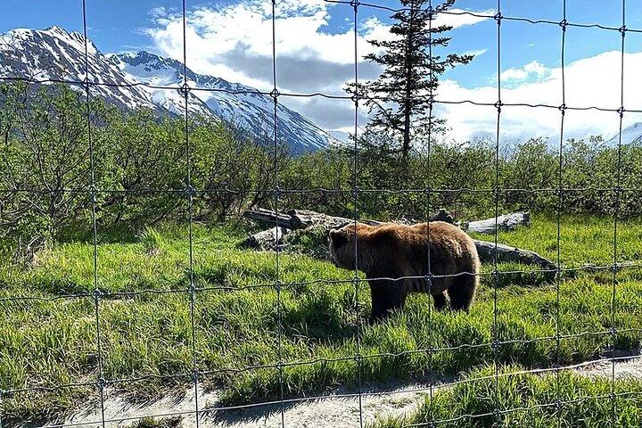 Excursion d'une journée à Turnagain