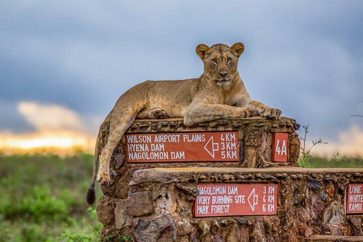 Visite privée du parc national de Nairobi et du musée Karen Blixen