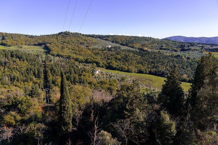 Fiesole Hike & Italiaans Aperitivo