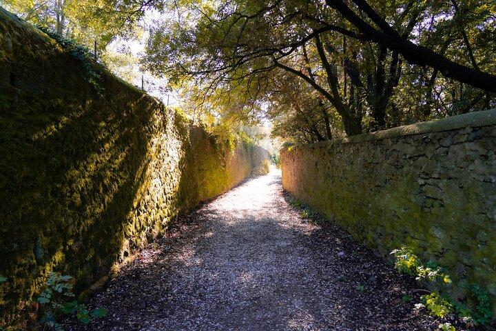 Fiesole Hike & Italiaans Aperitivo