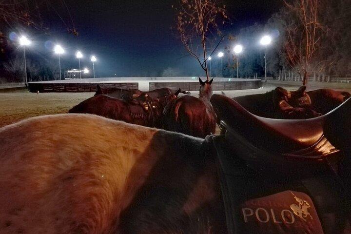 Polo Bajo las Estrellas y Barbacoa Argentina desde Buenos Aires