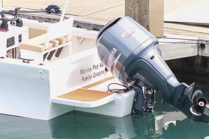 クジラとイルカのシュノーケリング、ツアーマヌエルアントニオ