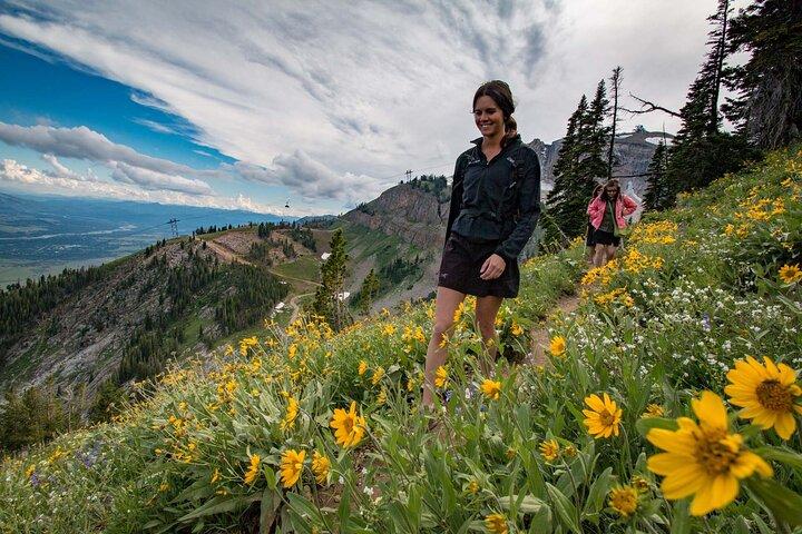 Jackson Hole Summer Aerial Tram Sightseeing