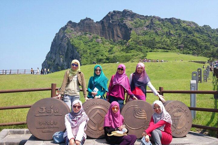 Kleine groep Private Taxi Tour DAG-ervaring op het eiland Jeju