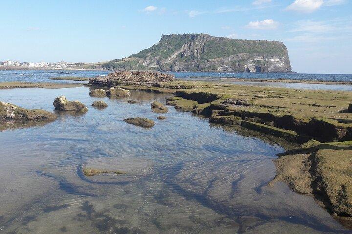 Kleine groep Private Taxi Tour DAG-ervaring op het eiland Jeju