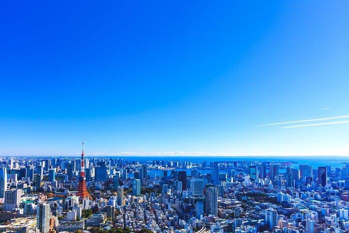 Tokyo Helicopter Cruising