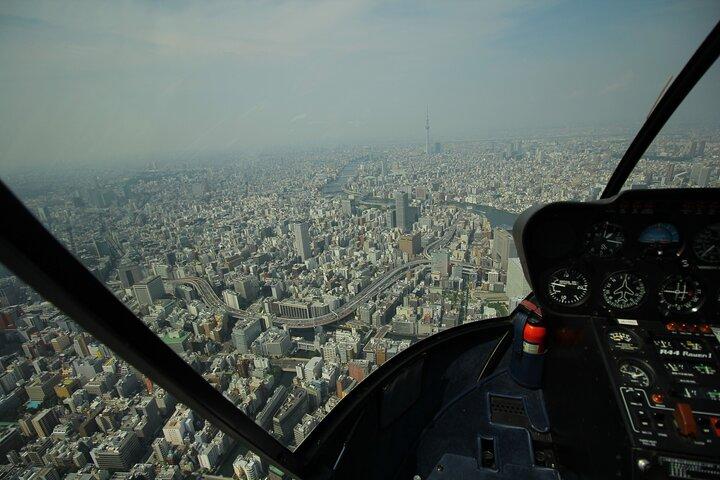 Tokyo Helicopter Cruising