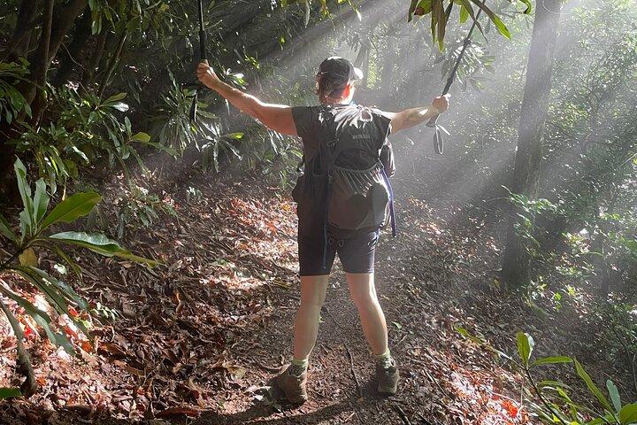 Privé begeleide dagwandeling