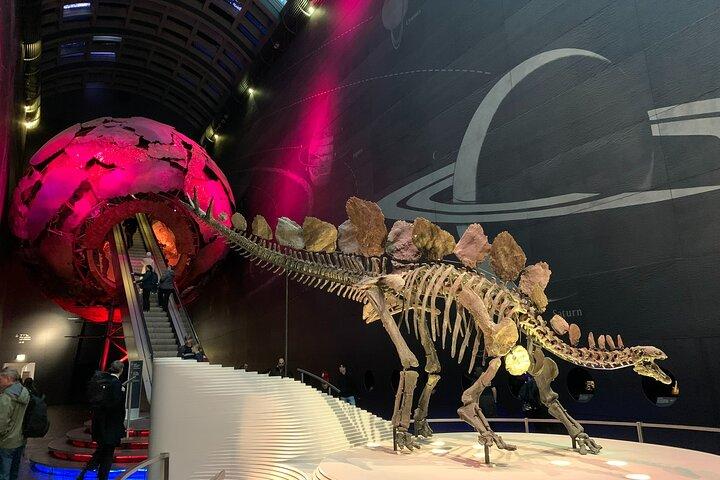 Privérondleiding door het Natuurhistorisch Museum - Skip the Line