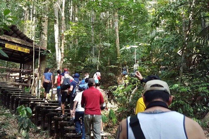 Kuala Lumpur para Taman Negara Shuttle