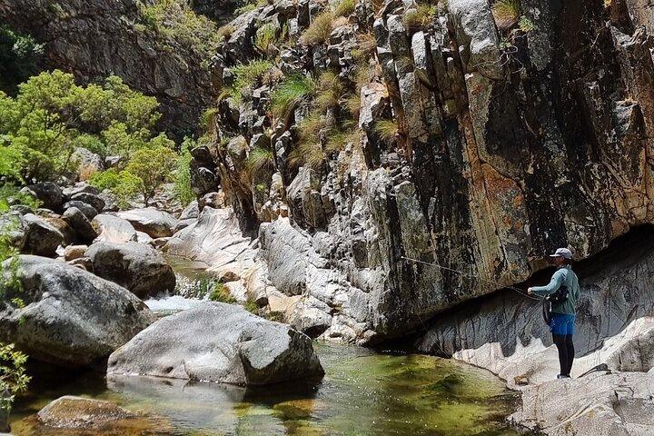 Pesca a mosca a Città del Capo per cinque ore