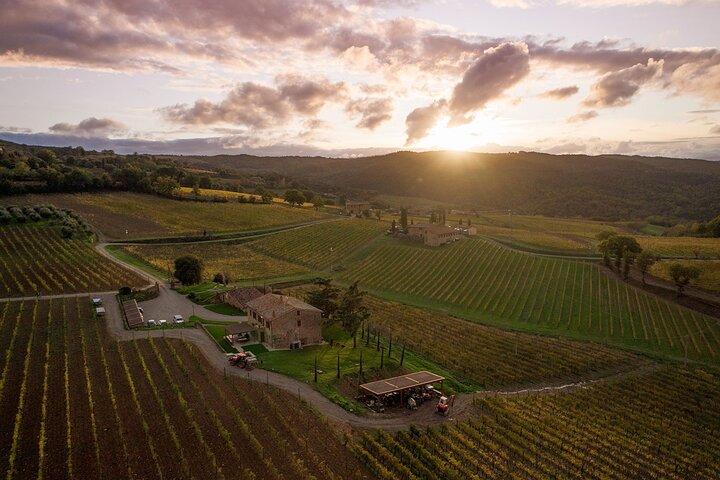 Montalcino: Brunello Wine Tasting & Tuscan Dinner