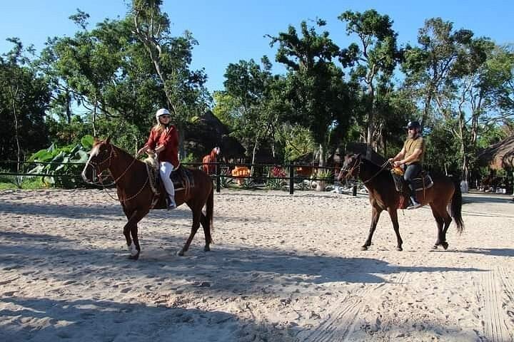 カルカンまたはプラヤデルカルメンからの乗馬とセノーテスイム