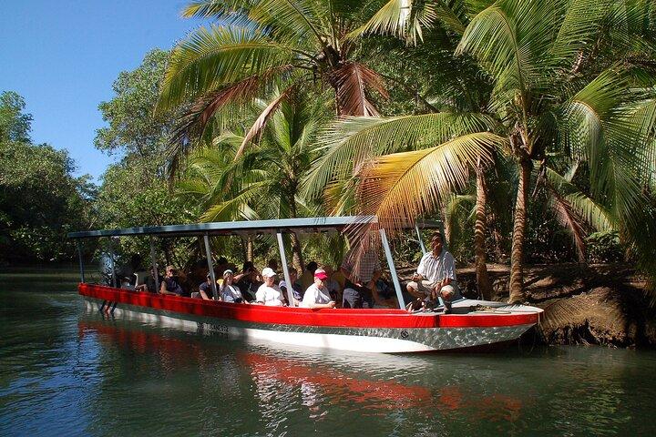Excursion en bateau singe, Manuel Antonio