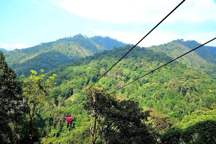 Chiang mai privat tur Zipline Mae Kam Pong og Nature Hotspring