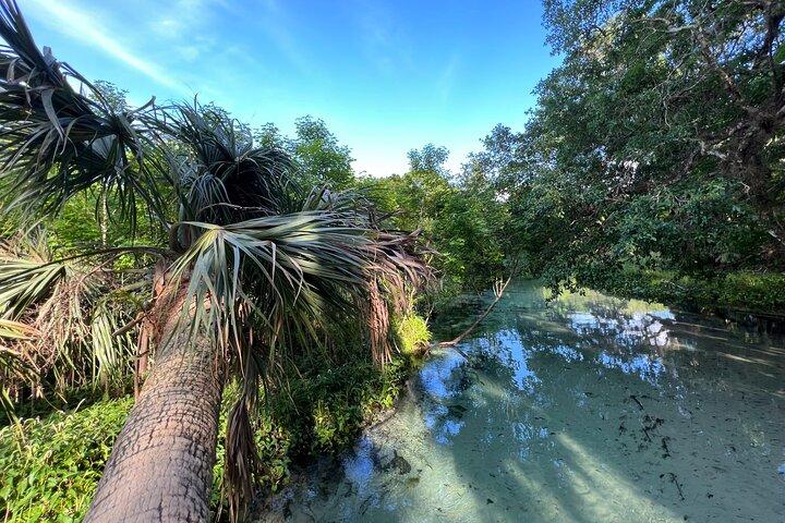 Paddelausflüge in Florida