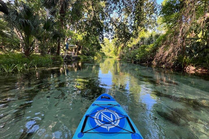 Paddelausflüge in Florida