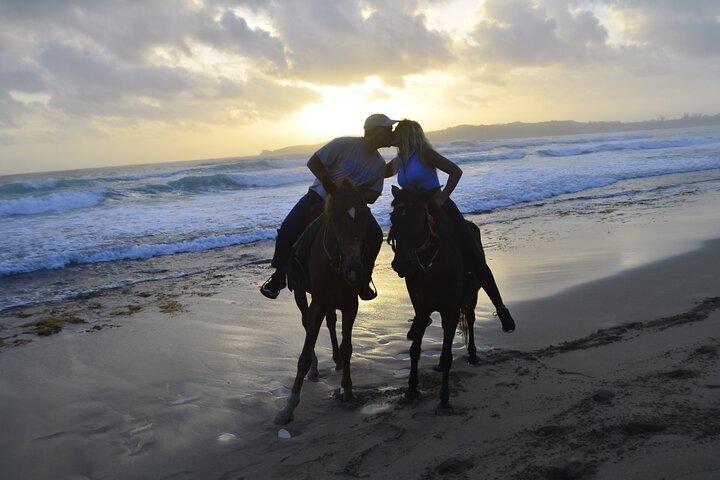 Horseback Riding at the Beach Punta Cana