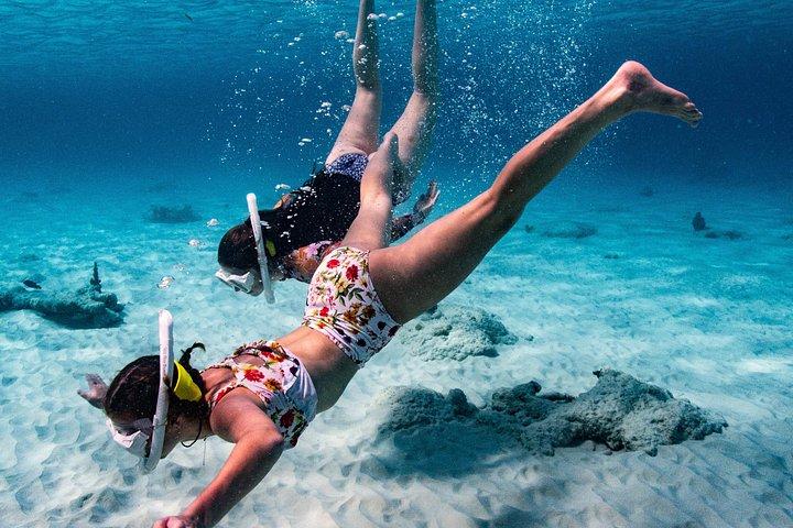 Private Bonaire Snorkeling Experience