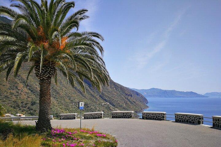 Private and guided tour of Salina: Discovering the Green Island
