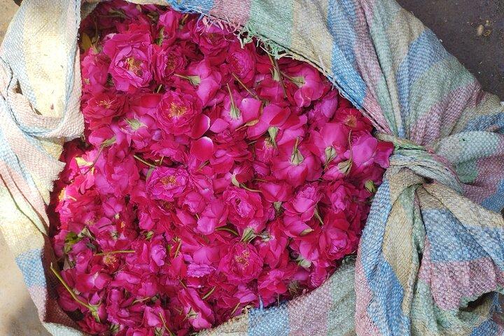 Private Rickshaw Tour of Old Delhi Heritage with Food Tasting