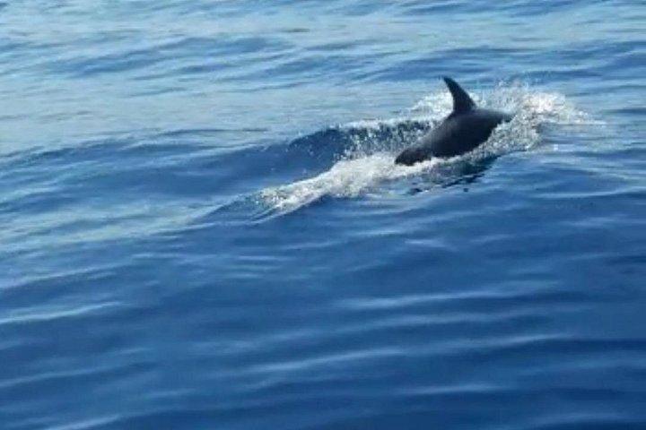 Boottocht naar de Zadar eilanden