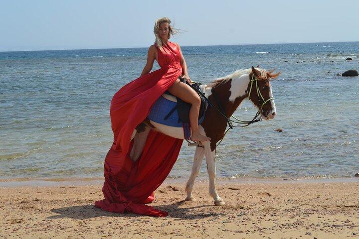 Passeio a cavalo Deserto e praia na baía de Nabq - Sharm ElSheikh