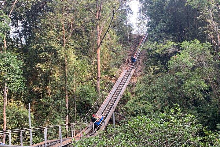 Excursión de un día completo: de Nha Trang a Dalat, incluida la caída de Datanla