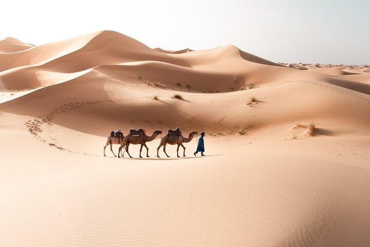 Ørkentur fra Marrakech