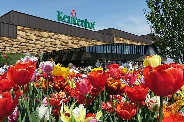Private Flower Tour to the Keukenhof
