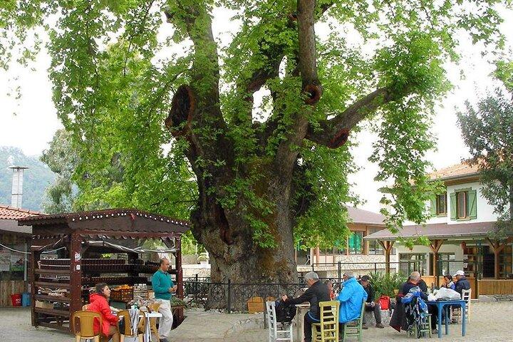Marmaris: village, cascades et Jesus Beach