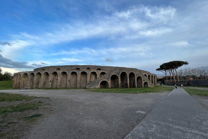 Visite privée d'une journée complète à Pompéi, Herculanum et Oplontis