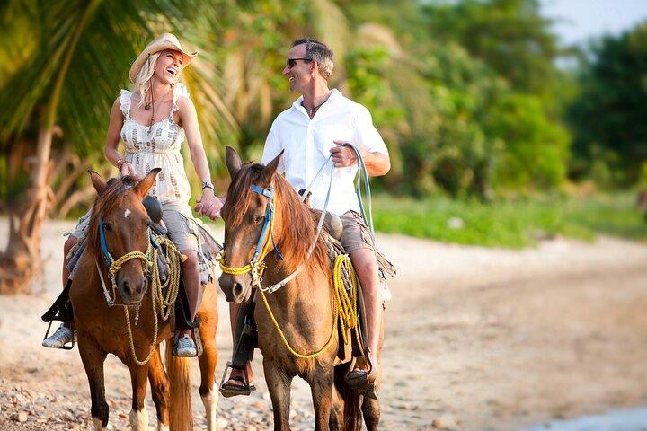 Cabalgata Palomino