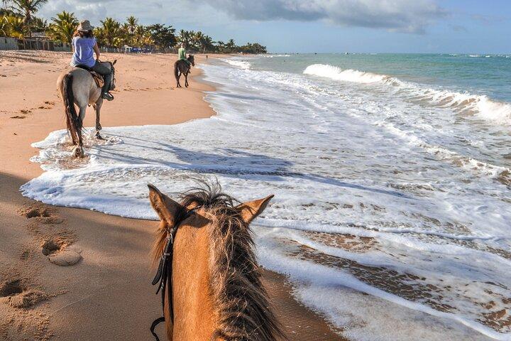 Cabalgata Palomino