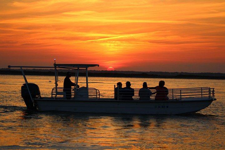 Excursion en bateau écologique à Folly Beach et débarquement sur l'île Morris