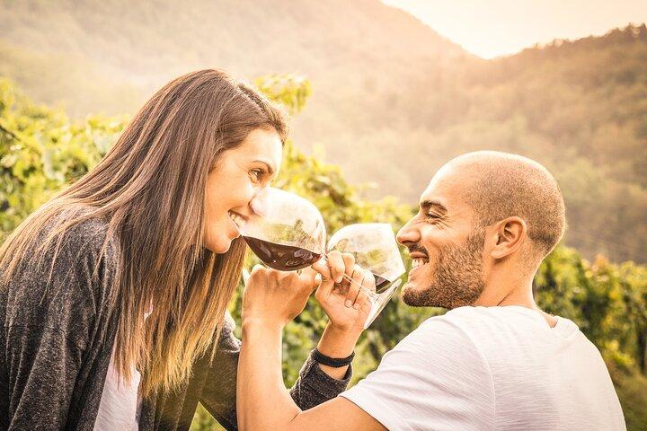 Napa e Sonoma: tour privato del vino di 8 ore da San Francisco XL SUV